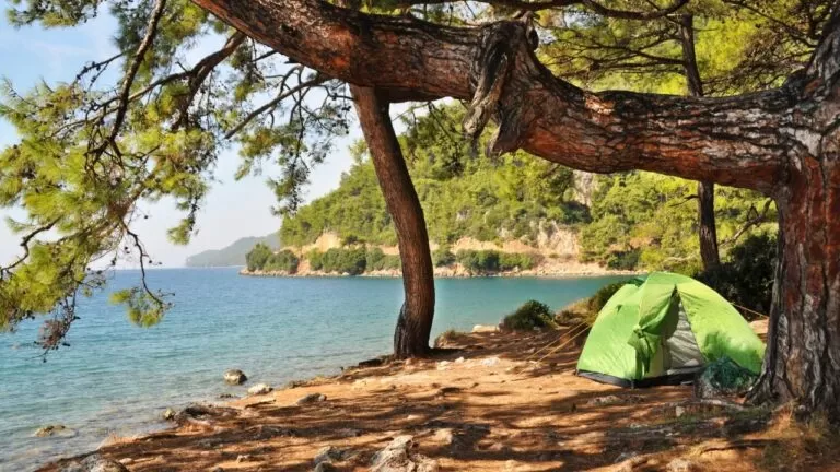 Hafta sonu için en hızlı ulaşılabilir kamp yerleri
